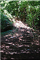 ST6782 : Steps in the woods by Toby