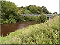 Sandra Jones Bridge, Omagh