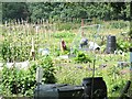 Allotments near Jennett