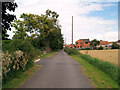 Footpath and lane in front of houses.