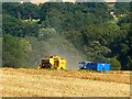 SU0359 : Harvesting operations near Stert by Brian Robert Marshall
