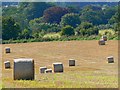 Straw bales, Monument Hill, south of Devizes