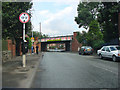 Railway Bridge, Thornes