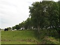 Farmland, Bridgend