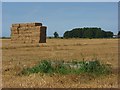 Farmland, Shrewton