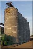 TF6003 : Silos at Heygates' Flour Mill by Fractal Angel