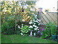 Gardens in Bloom in Chester-le-Street