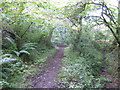 Pembrokeshire Coast Path