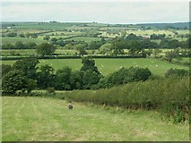 NY4970 : Fields near Cays House with view over Lyne Valley by Rose and Trev Clough