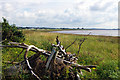 Looking East  towards Moss-side and Riddindyke