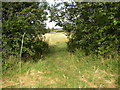 Footpath to Snelsins Lane, Cleckheaton