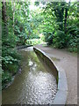 Fairy Glen, Colwyn Bay