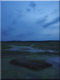 TM4872 : Reedland Marshes at dusk by Simon Richardson