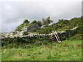 SH6020 : The ruins of Cae'r-llwyn by Eric Jones