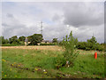 RSPB Old Moor sanctuary.