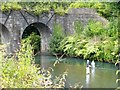 River Ebbw at Bassaleg