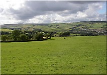 SE0812 : Field with a view, Linthwaite by Humphrey Bolton