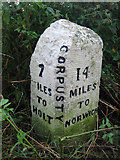 TG1128 : Milestone in the hedge near Corpusty, on Holt Road by Zorba the Geek
