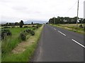 Road near Loughermore Forest