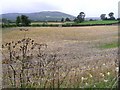 Derry More Townland