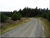NZ0197 : Forestry road in Harwood Forest by Kenneth   Ross