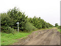 Footpath off Bracken Hill Lane.