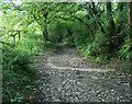 Bridleway south of Buckham Down