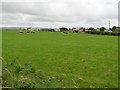 Cappagh More townland