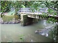 Footbridge over The River Mole