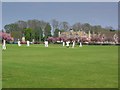 Corsham Cricket Field in springtime