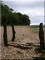 Shoreline near Ryde House