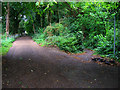 Bridleway to Quarr Abbey