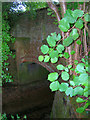 Bridge, Rowlands Lane