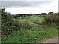 Across fields to Bake Farm