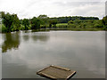 Fishing pond.