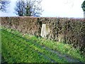 Trig Point 2740 Daws Green