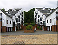 Modern Apartments, Seaview Bay