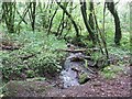 Tributary of the River Tiddy, Skelton