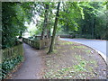 View of Foot and Road Bridges over River Hipper