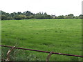 View north from near Parkford Farm