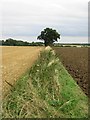 TL1665 : Field boundary near Highfield Farm by Alison Rawson