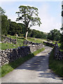 Farm Track, Langstrothdale