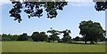 Grassland beside the A5022