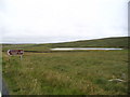 HU2950 : Loch of Gruting from start of path to Staneydale Temple by Ken Craig