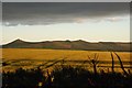 Farmland with view towards Bennachie from The Glen