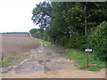 View of hedgerow towards Old Wellbury