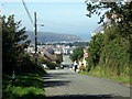 Pen Wallis, looking north to Fishguard Bay