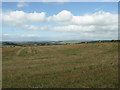 View  towards Bodmin Moor.