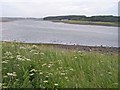 River Ythan looking upstream