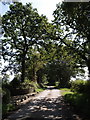 Lane past Stockleigh Farm